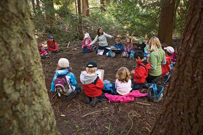 A kindergarten class has story time outside in the woods!